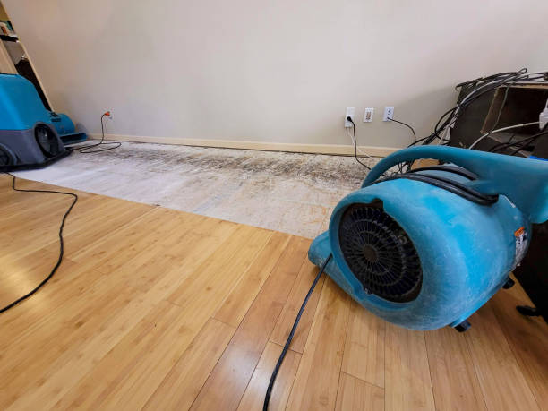 Professional Basement Flood Cleanup technician working in Oakmont, PA